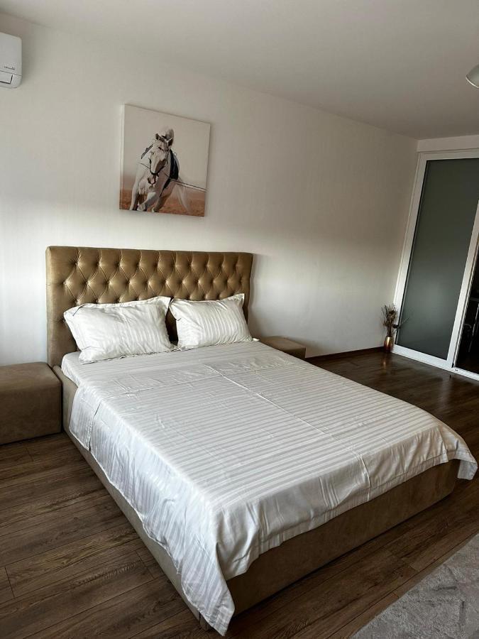 Ferienwohnung Anastasia Apartament Oradea Exterior foto